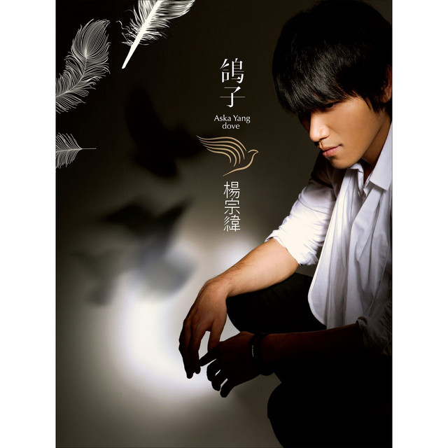 鴿子 cover art