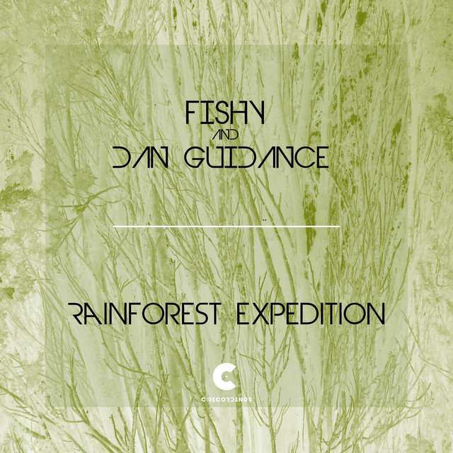 Rainforest Expedition artwork