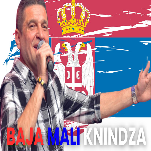 Ptico moja bjeli labude (Live) cover art