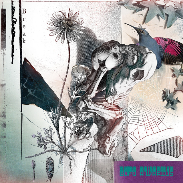 Break cover art