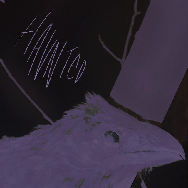 Haunted cover art