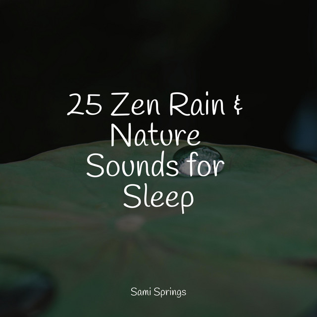 25 Zen Rain & Nature Sounds for Sleep - Album by Pro Sounds of Nature ...
