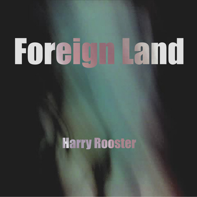 Forever - song and lyrics by Harry Rooster | Spotify
