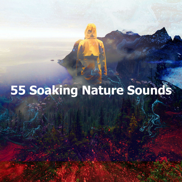 55 Soaking Nature Sounds - Album by Nature and Rain | Spotify