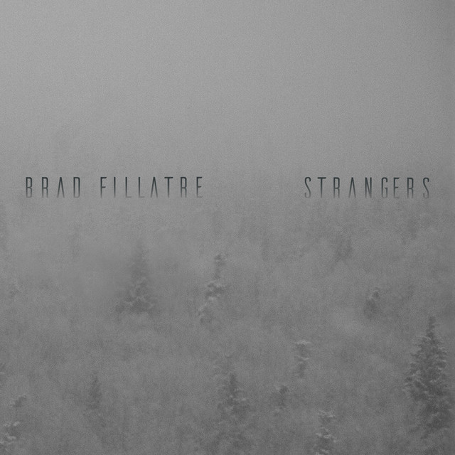 Strangers cover