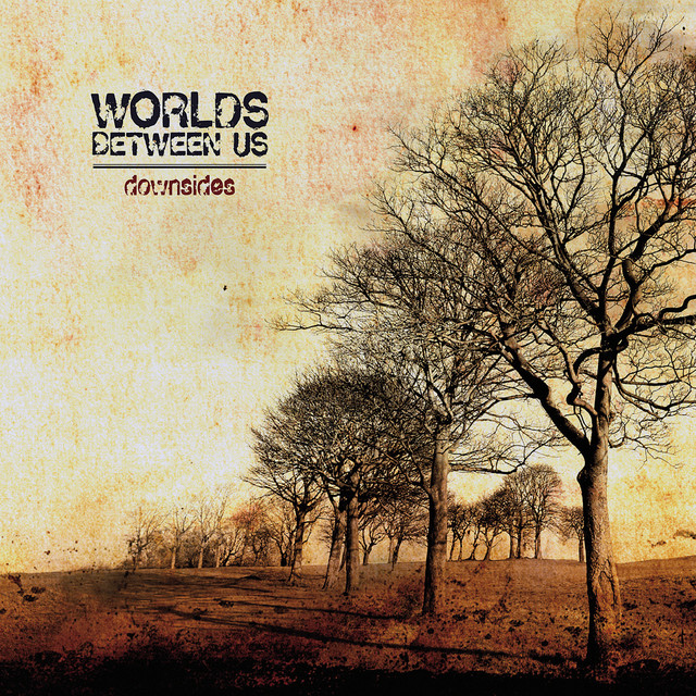 Downsides cover