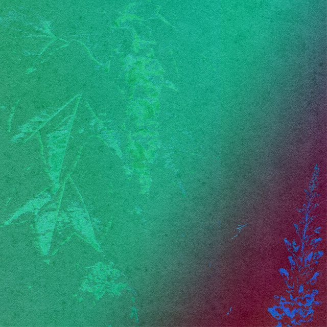 Organización Negra cover art