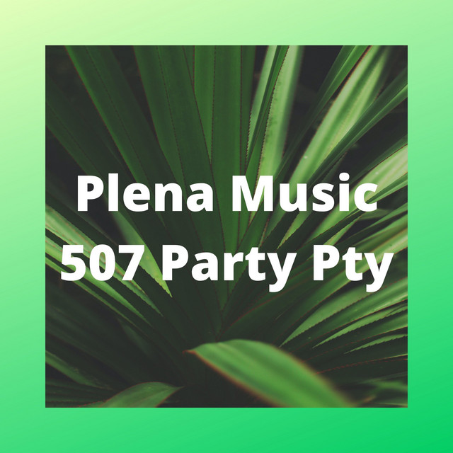 Plena Music 507 Party Pty cover art