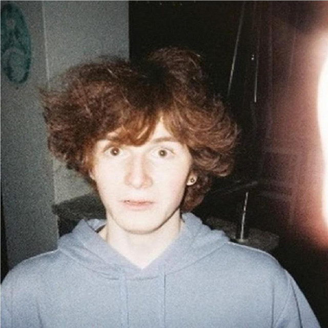 pint of harp please cover art