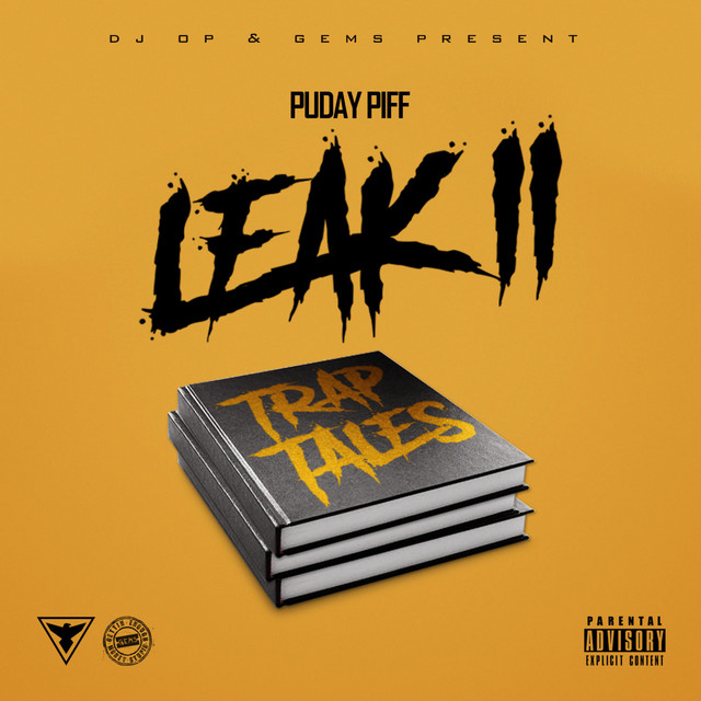 Leak 2 cover art