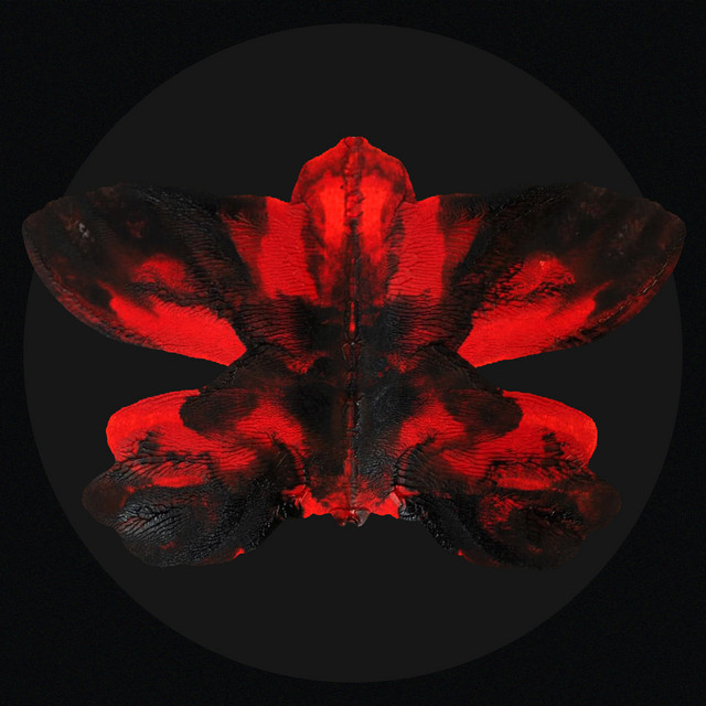 Butterfly Effect