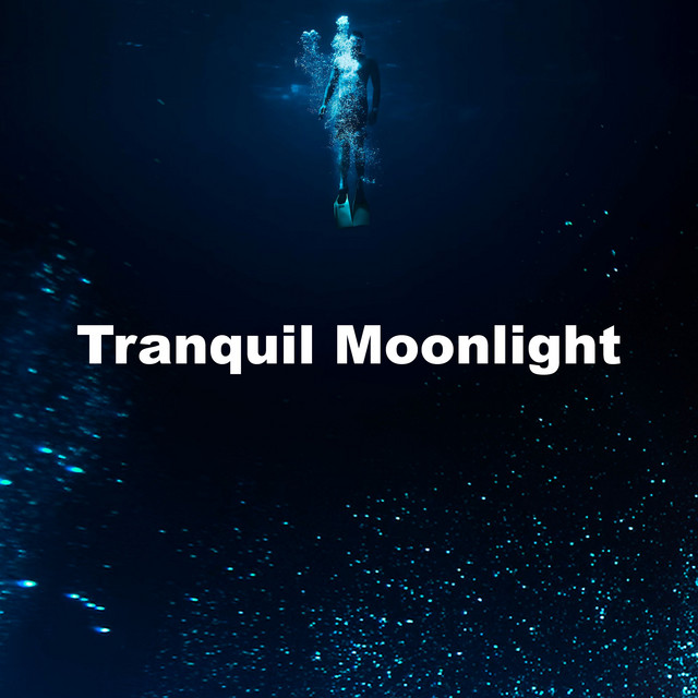 Tranquil Moonlight cover art