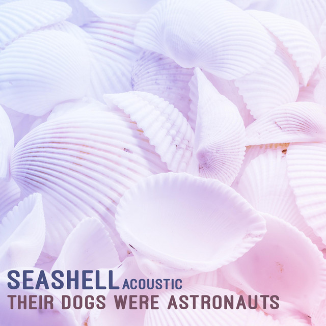 Seashell (Acoustic Version) (single)