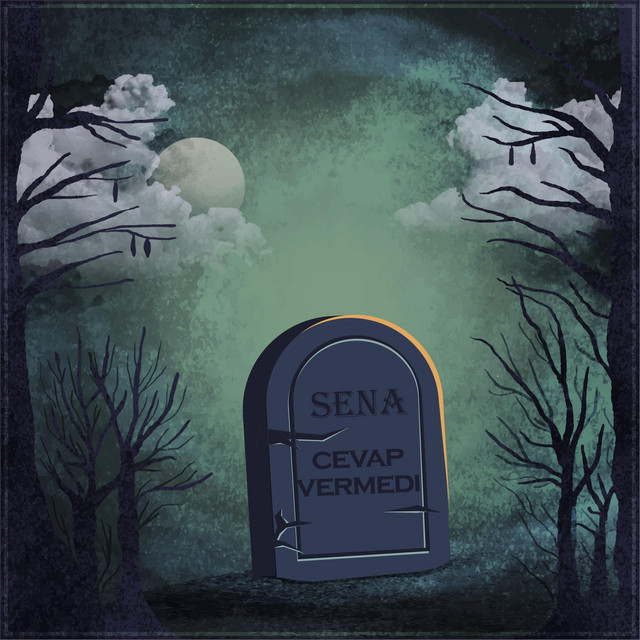 Cevap Vermedi cover art