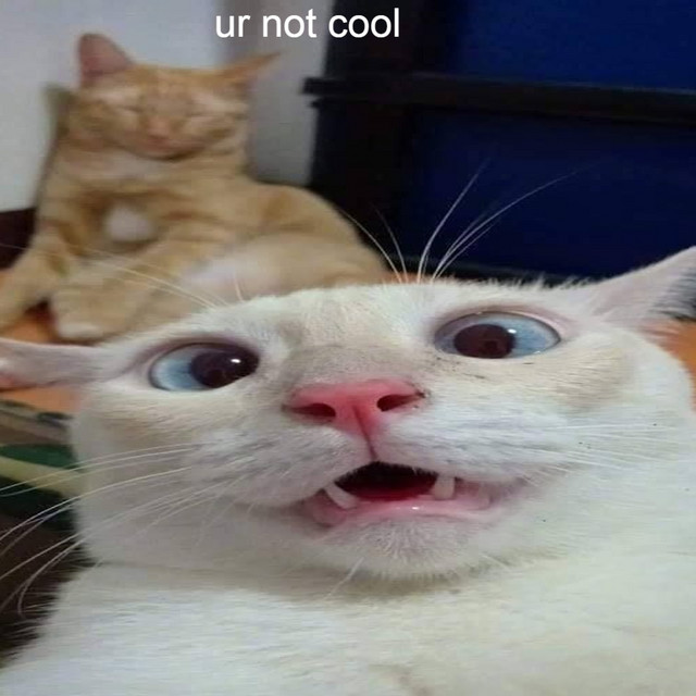 ur not cool cover art