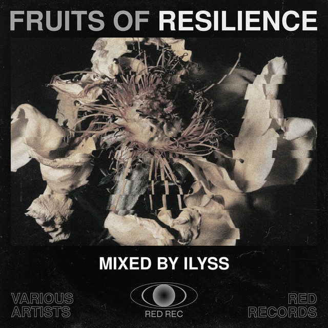 Fruits of Resilience (Mixed By Ilyss) cover