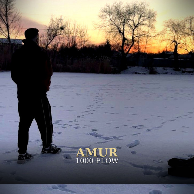 Обкладинка: 1000 FLOW — AMUR