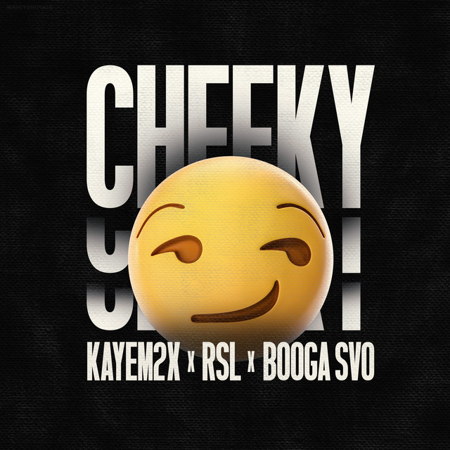 Kayem2x