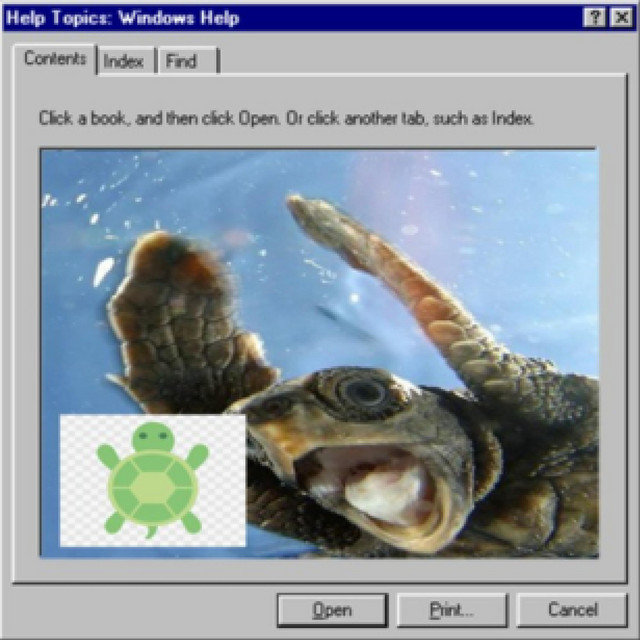 really happy turtle cover art