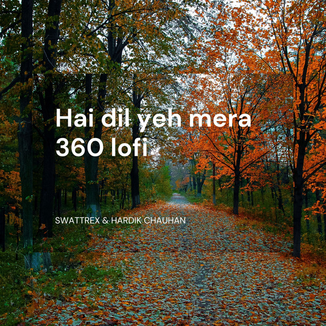 Hai dil yeh mera 360 lofi