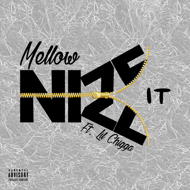 Nize It cover art