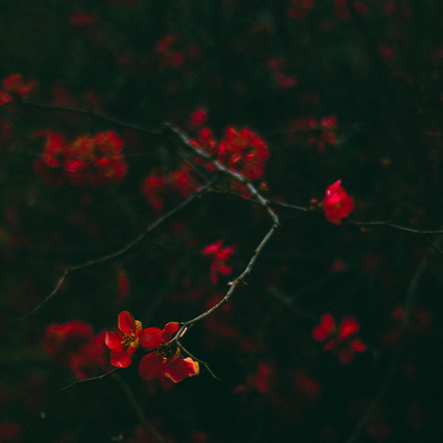 Through Me