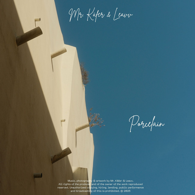 Porcelain album image
