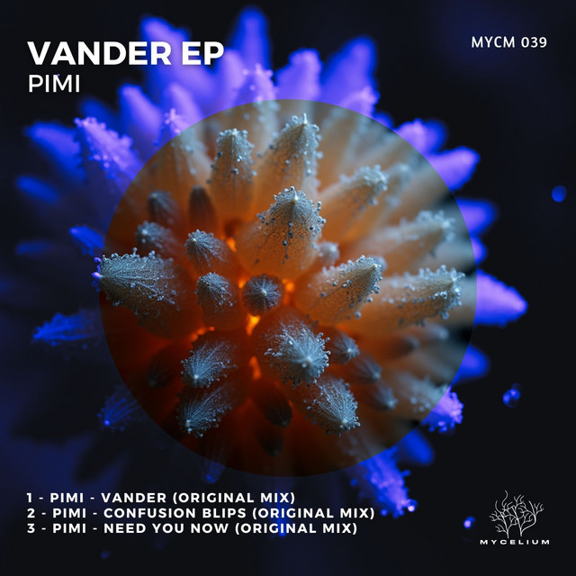 Vander album art