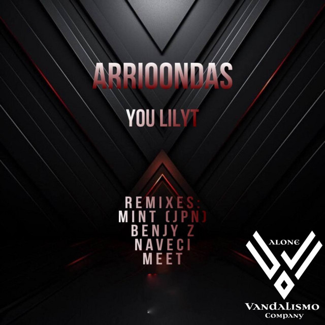 You Lilyt - Naveci Remix cover art