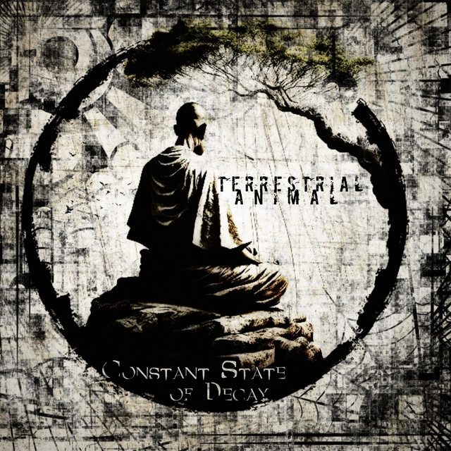 Constant State of Decay (Redux) cover art