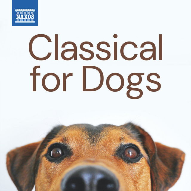 Classical for Dogs album image