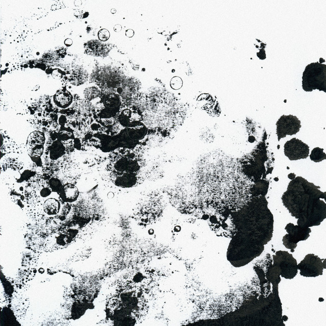 Shadow + Gold cover