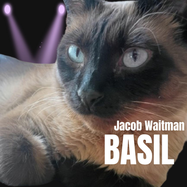 Basil - Single by Jacob Waitman | Spotify
