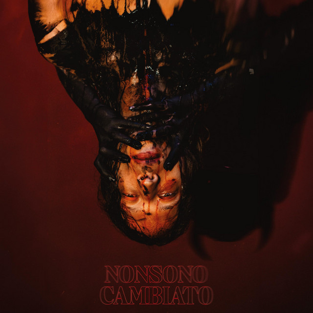 NON SONO CAMBIATO cover art