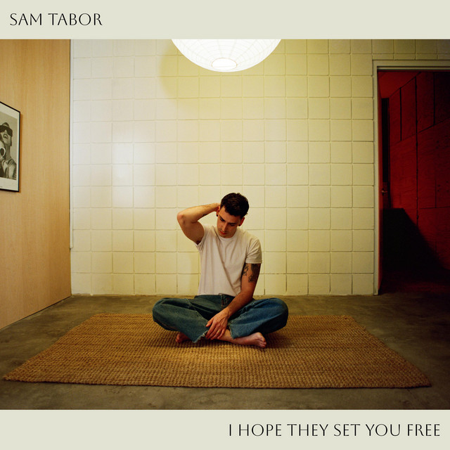 I Hope They Set You Free cover art