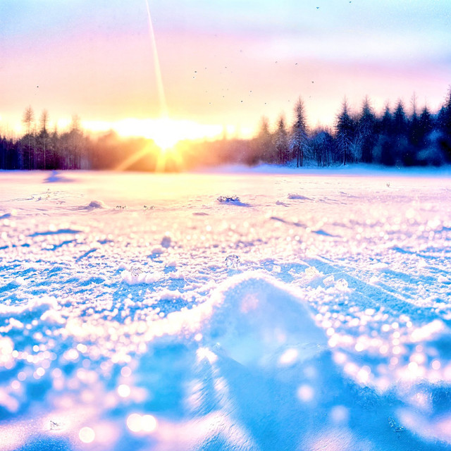 Snow Trap cover art