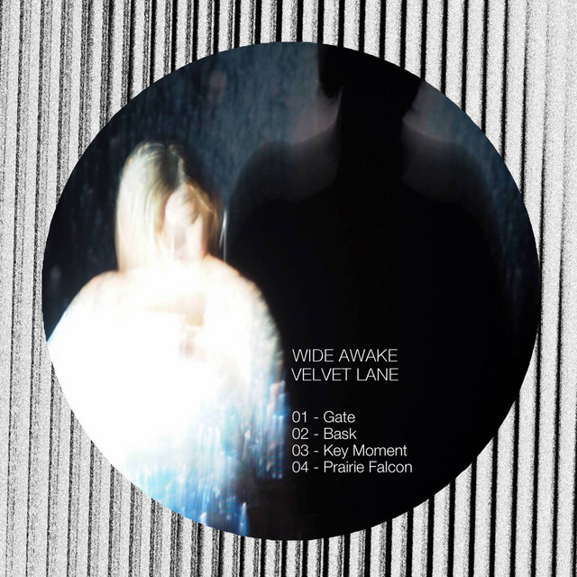 Velvet Lane cover art