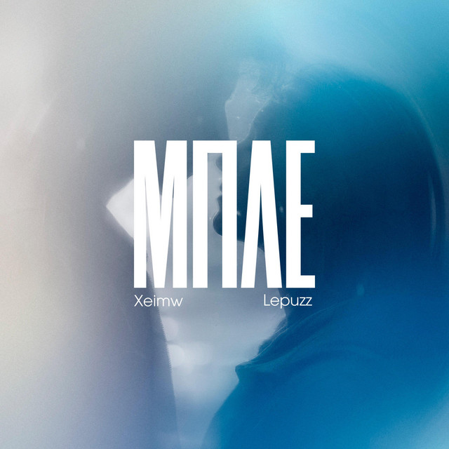 MPLE cover art