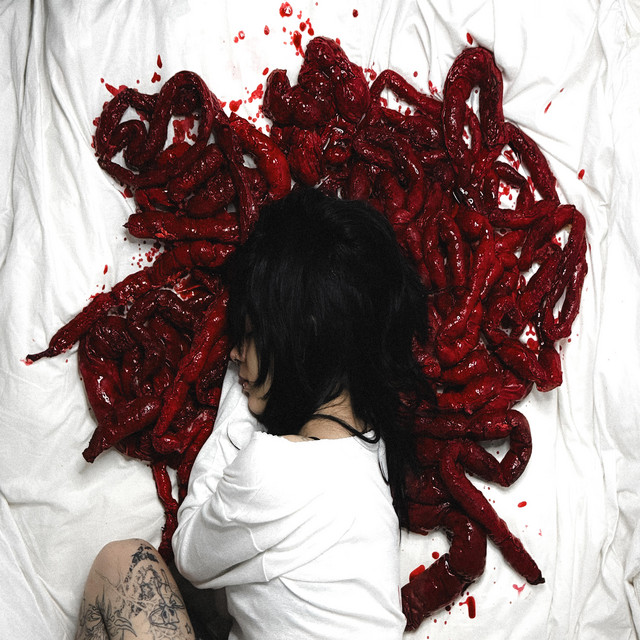 he dejado mis intestinos bajo tu almohada, XOXO artwork