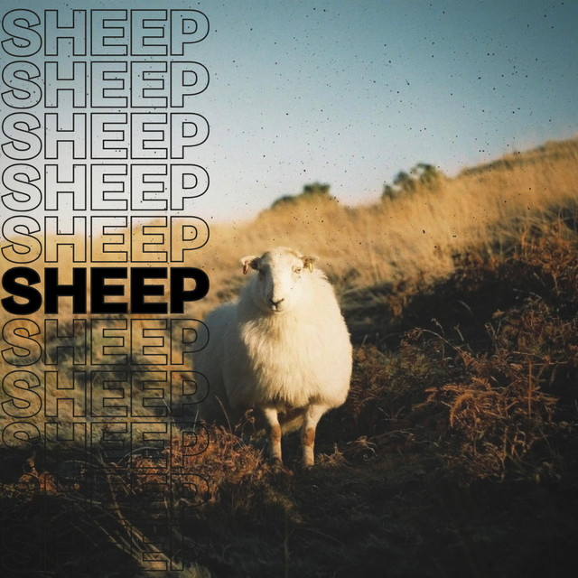 SHEEP