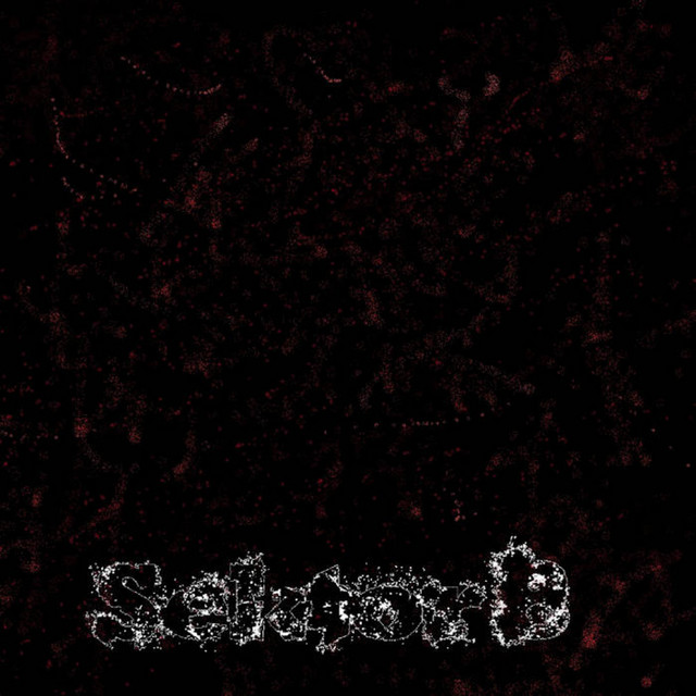 Sektor 8