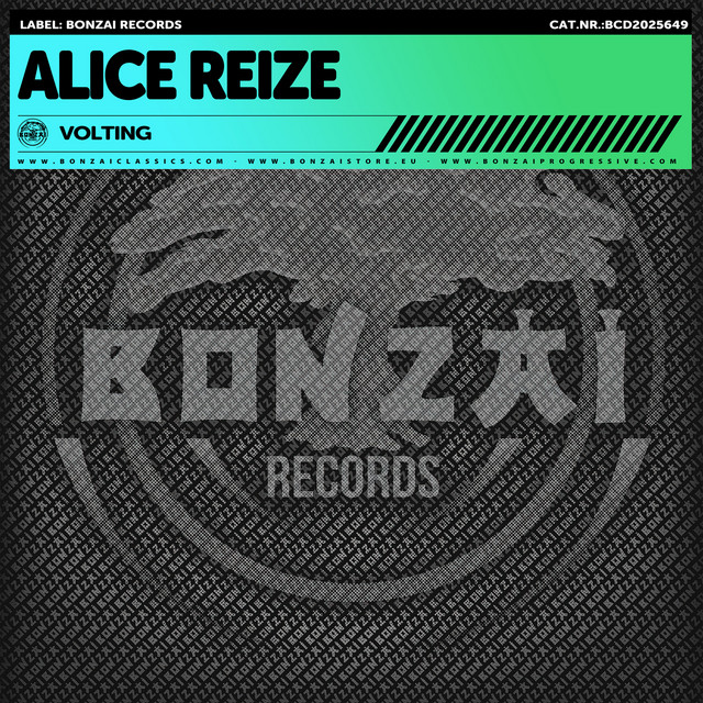 Volting album art