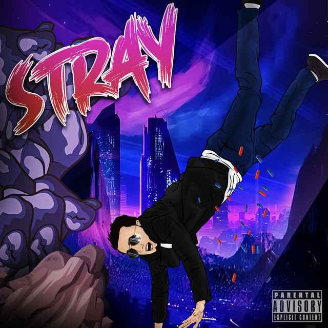 STRAY cover art