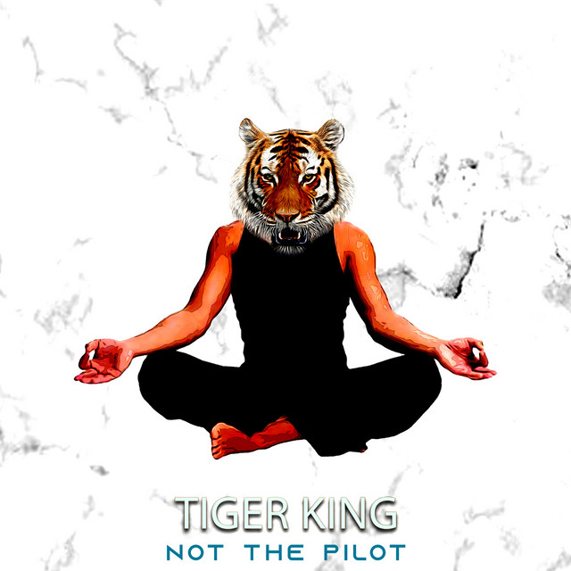 Not the Pilot | Spotify