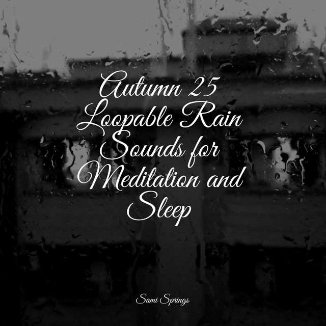 Autumn 25 Loopable Rain Sounds for Meditation and Sleep - Album by Baby ...