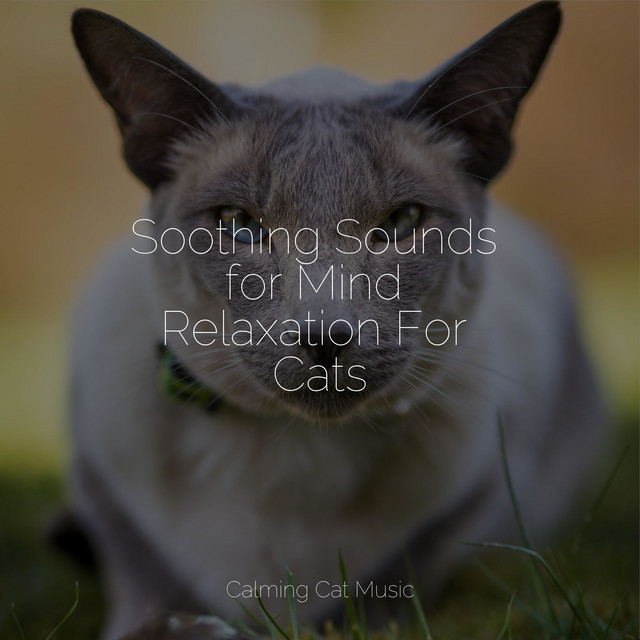 Soothing Sounds for Mind Relaxation For Cats - Album by Music for Pets ...