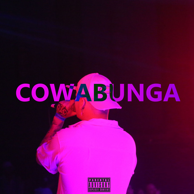 COWABUNGA cover art