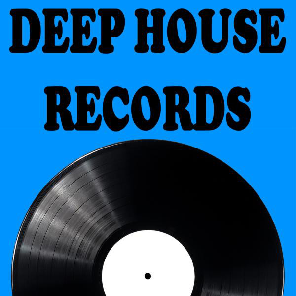 HOUSE. HOUSE. 他レコード50枚まとめ売り① DEEP DISKO.