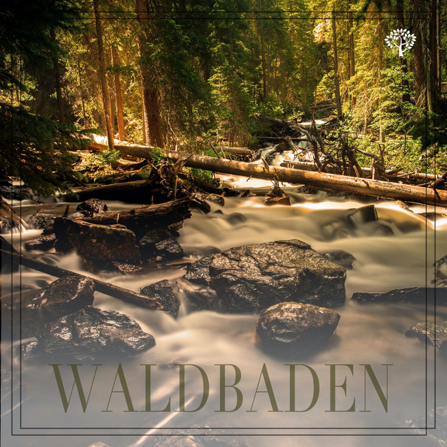 Waldbaden cover art
