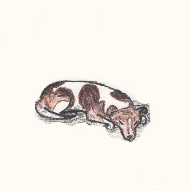 The Dog Bites cover art
